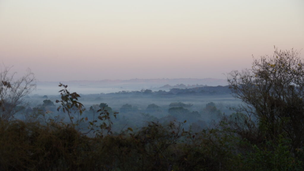 Blick ins Tal am Morgen